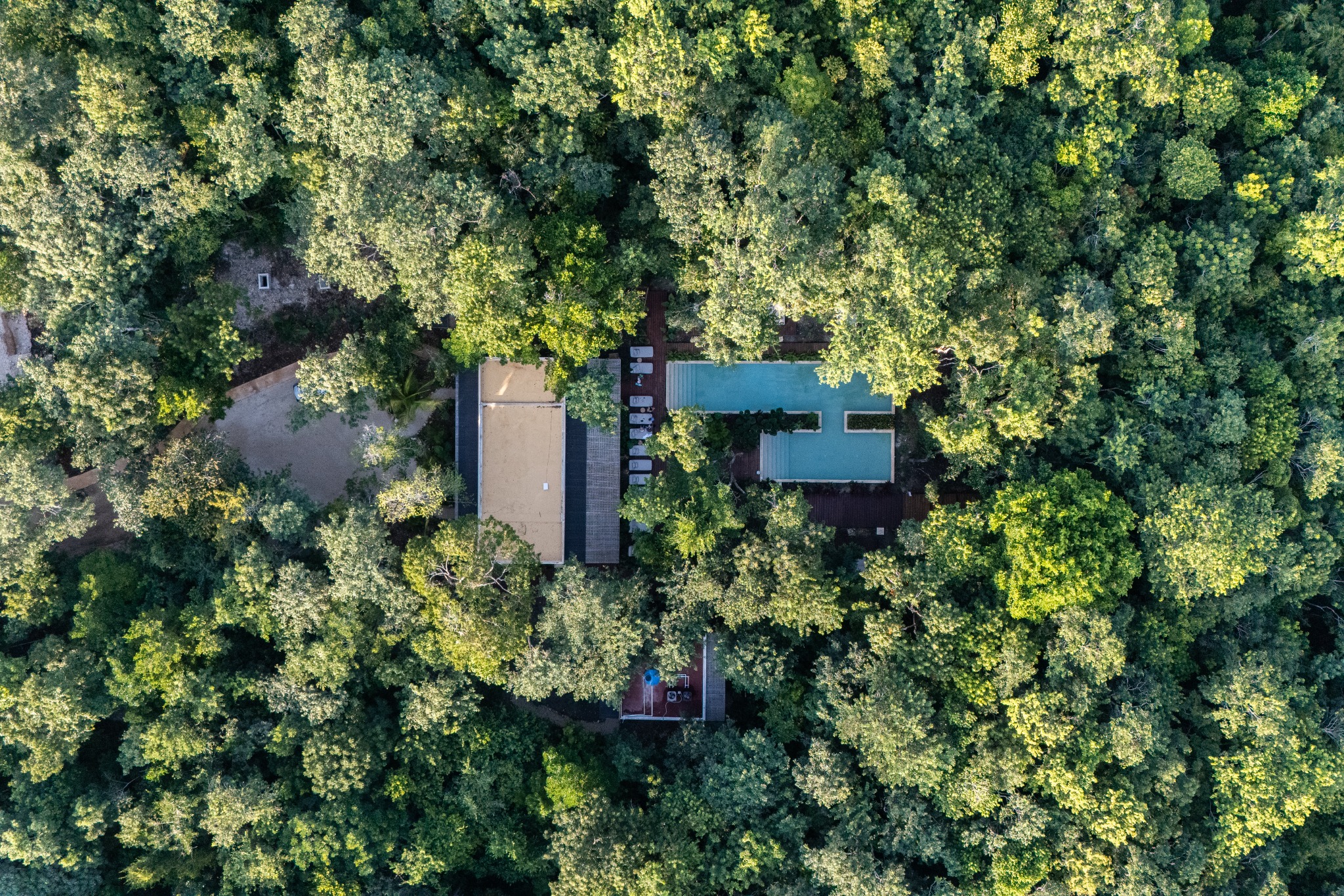 Aerial view of Aldea Mayab community pool nestled in dense tropical jungle