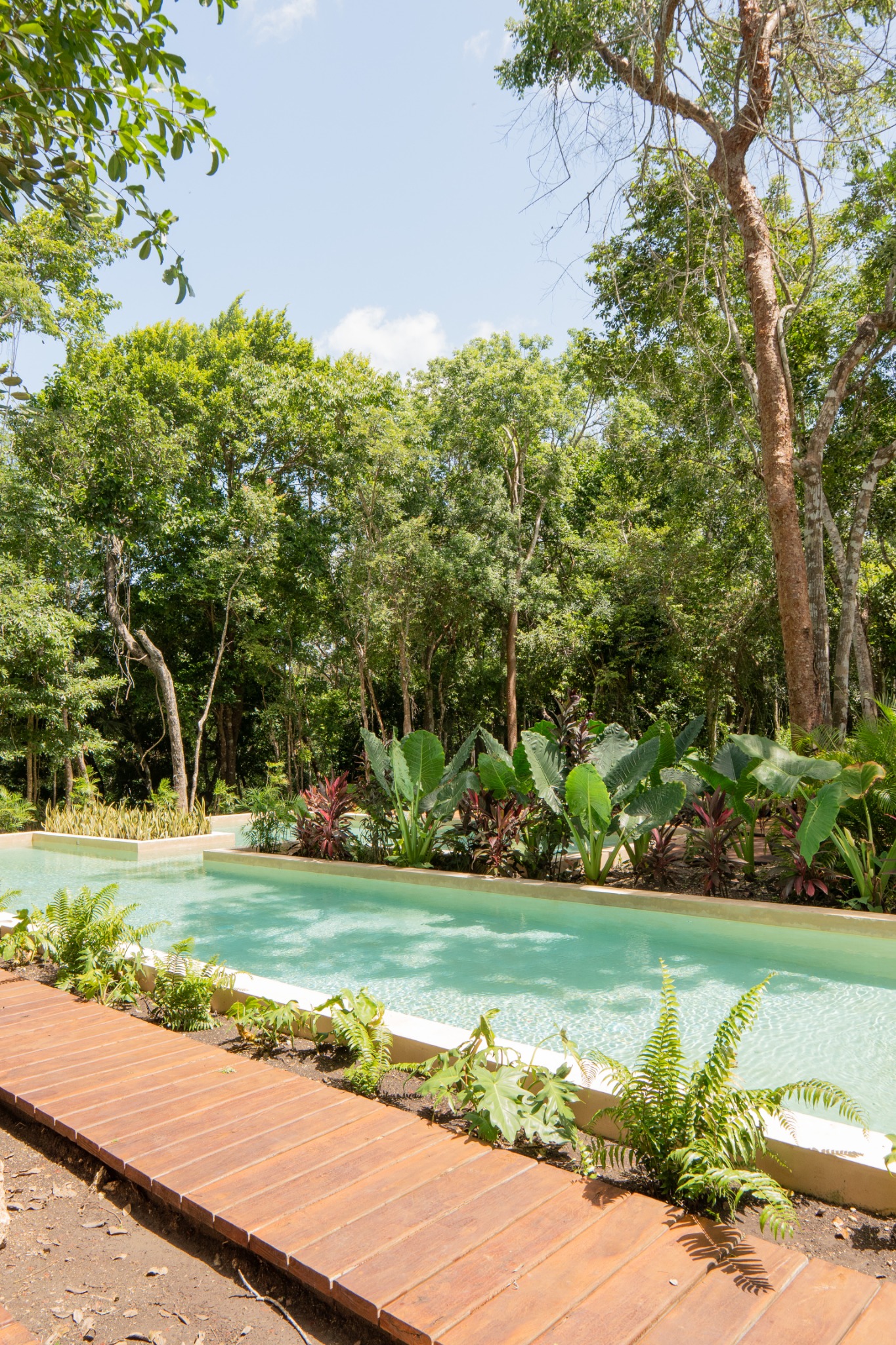 Shared community swimming pool surrounded by tropical jungle at Aldea Mayab