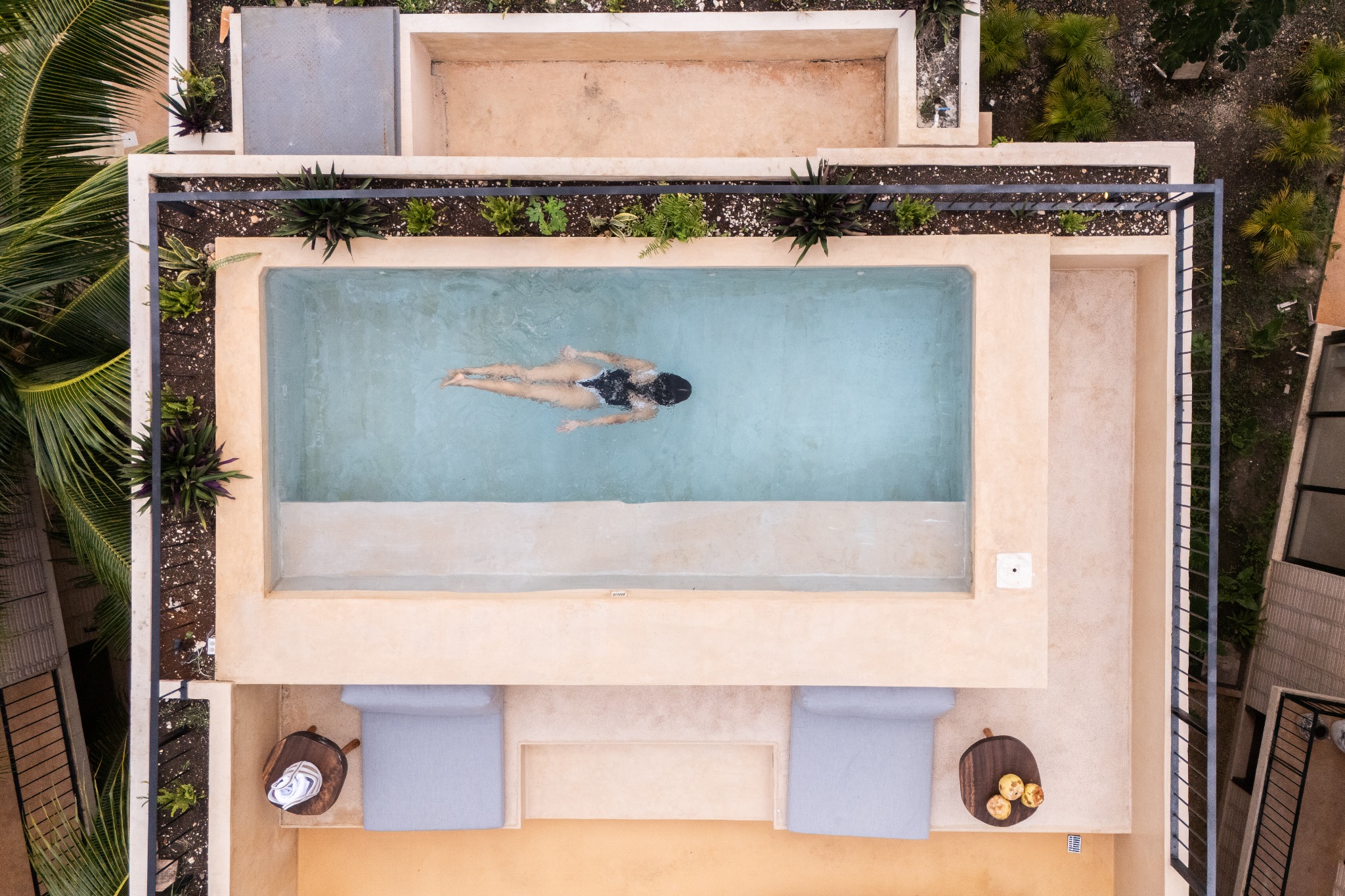 Private rooftop pool surrounded by tropical greenery at Chechén 203